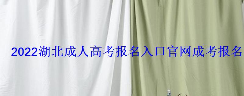 2022湖北成人高考报名入口官网，成考报名官网