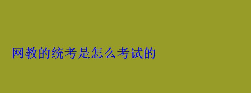 网教的统考是怎么考试的