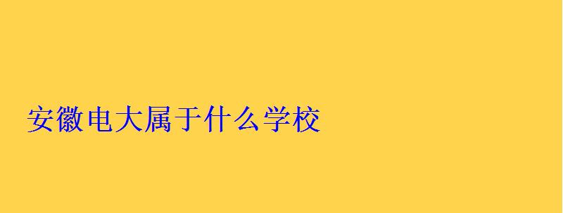 安徽电大属于什么学校