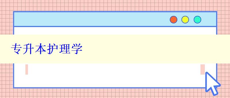 专升本护理学