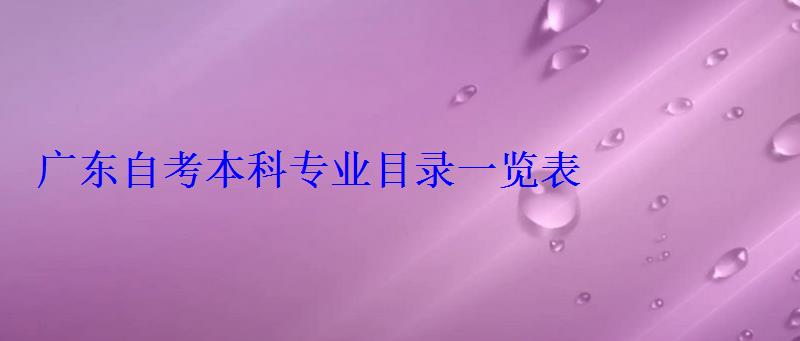 广东自考本科专业目录一览表，广东自考本科报名官网入口