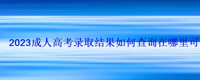 2023成人高考录取结果如何查询在哪里可以查到