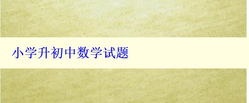 小学升初中数学试题