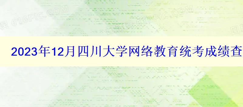 2024年12月四川大学网络教育统考成绩查询入口