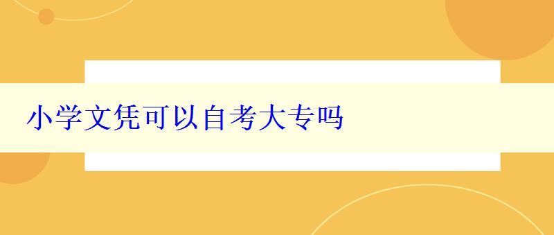 小学文凭可以自考大专吗