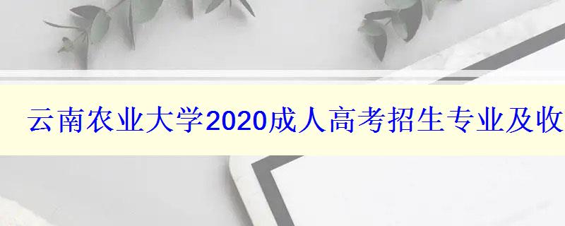 云南農(nóng)業(yè)大學2024成人高考招生專業(yè)及收費標準