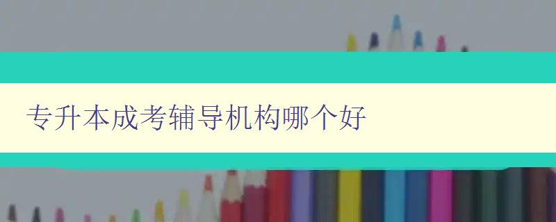 专升本成考辅导机构哪个好 揭秘专升本成考辅导机构排名