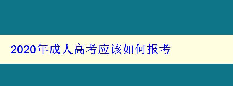 2024年成人高考应该如何报考