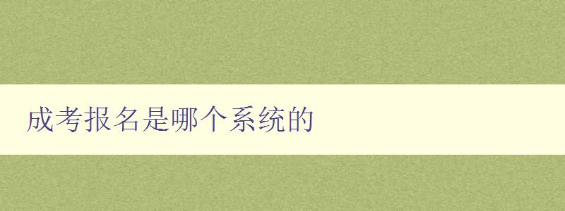 成考报名是哪个系统的 详解成人高考报名流程和系统