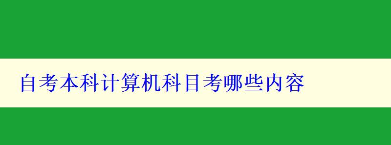 自考本科計(jì)算機(jī)科目考哪些內(nèi)容