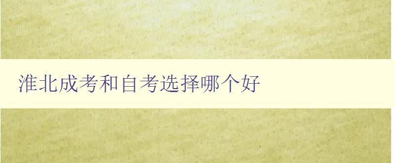 淮北成考和自考选择哪个好 比较淮北成考和自考的优缺点