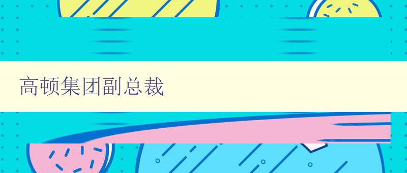 高顿集团副总裁 职业生涯和管理经验介绍