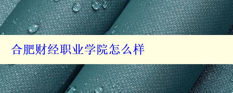 合肥財經(jīng)職業(yè)學院怎么樣