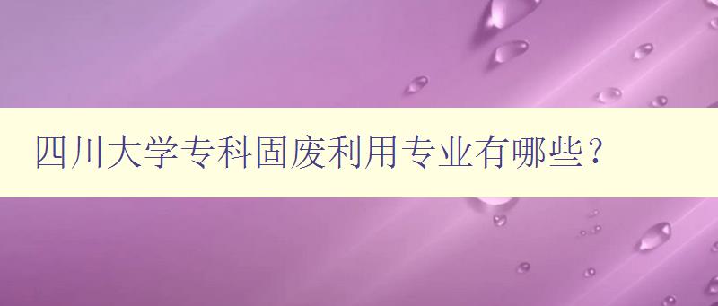 四川大学专科固废利用专业有哪些?