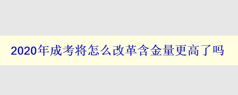 2024年成考將怎么改革含金量更高了嗎