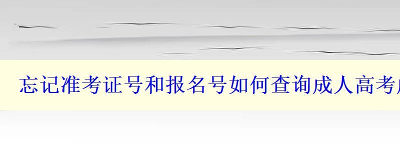 忘记准考证号和报名号如何查询成人高考成绩