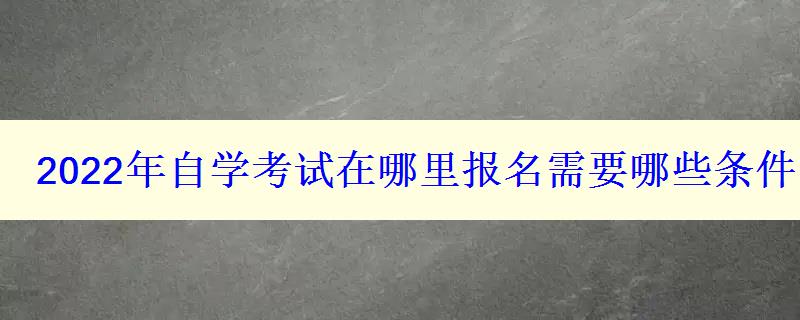 2024年自学考试在哪里报名需要哪些条件