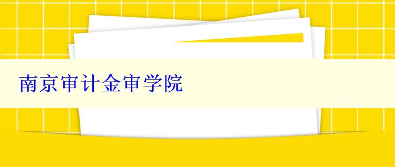 南京审计金审学院