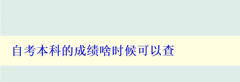 自考本科的成績啥時候可以查