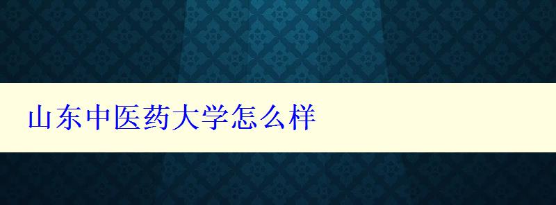 山东中医药大学怎么样