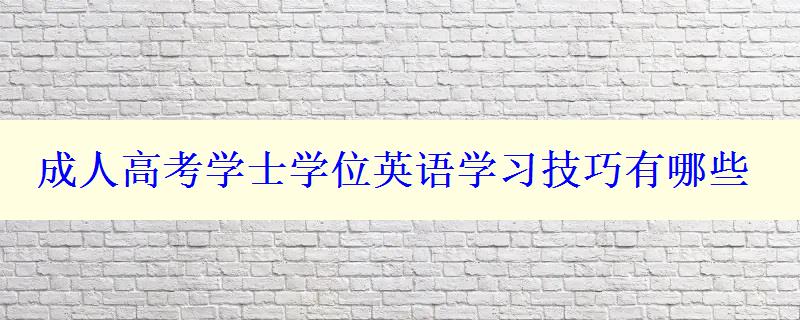 成人高考学士学位英语学习技巧有哪些