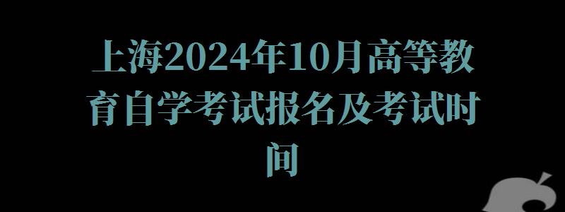 上海2024年10月高等教育自学考试报名及考试时间