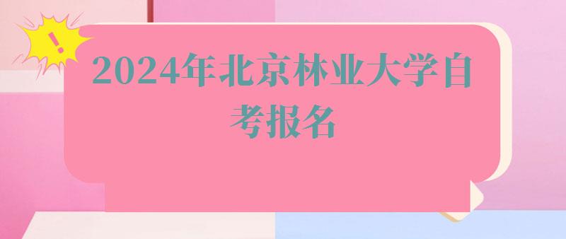 2024年北京林业大学自考报名