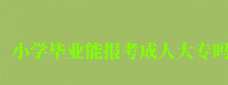 小学毕业能报考成人大专吗