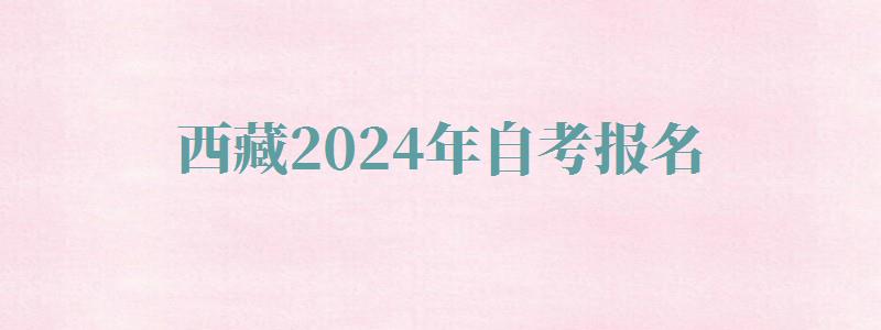 西藏2024年自考报名