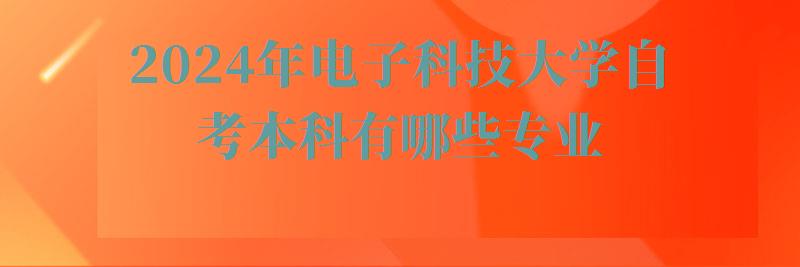 2024年电子科技大学自考本科有哪些专业