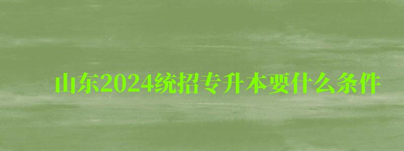 山东2024统招专升本要什么条件