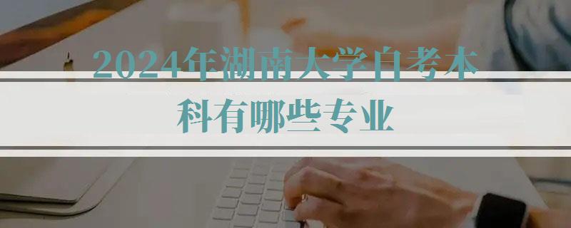 2024年湖南大学自考本科有哪些专业