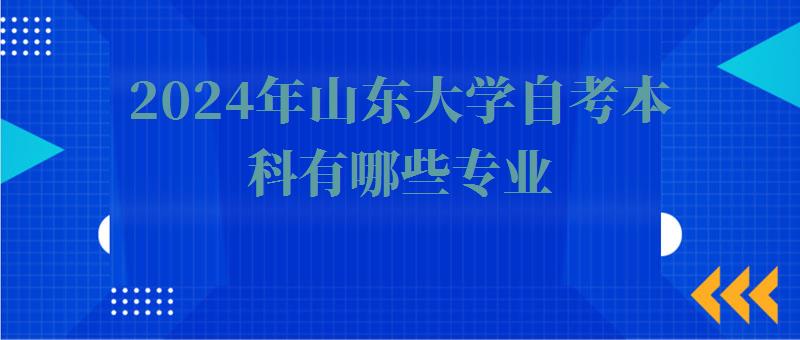 2024年山东大学自考本科有哪些专业