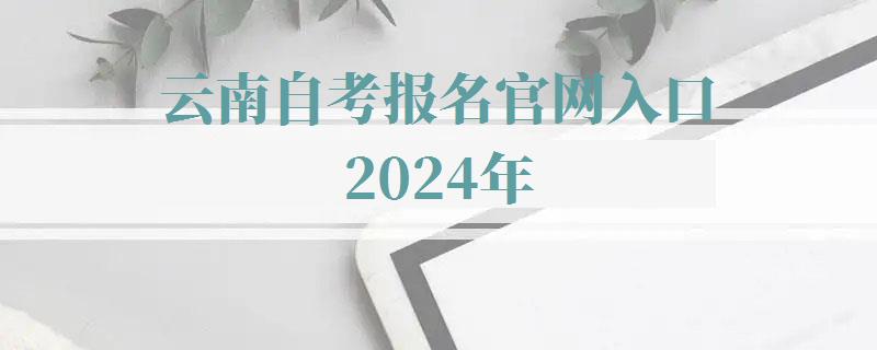 云南自考报名官网入口2024年