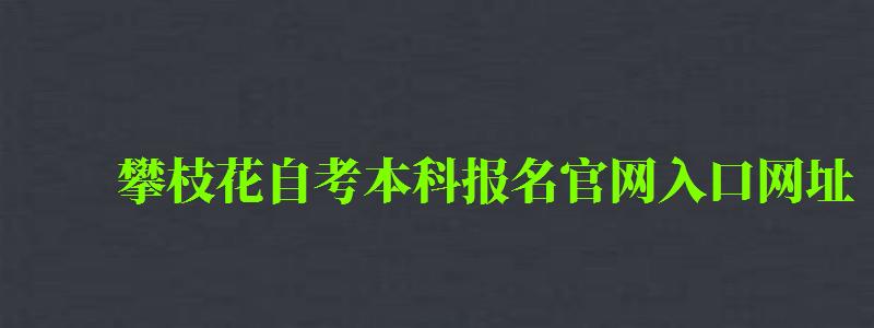 攀枝花自考本科报名官网入口网址