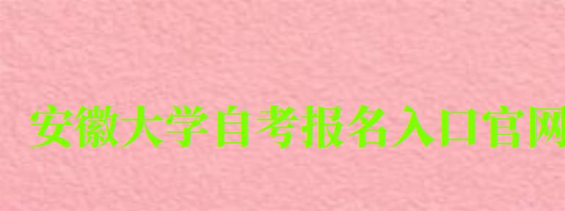 安徽大学自考报名入口官网