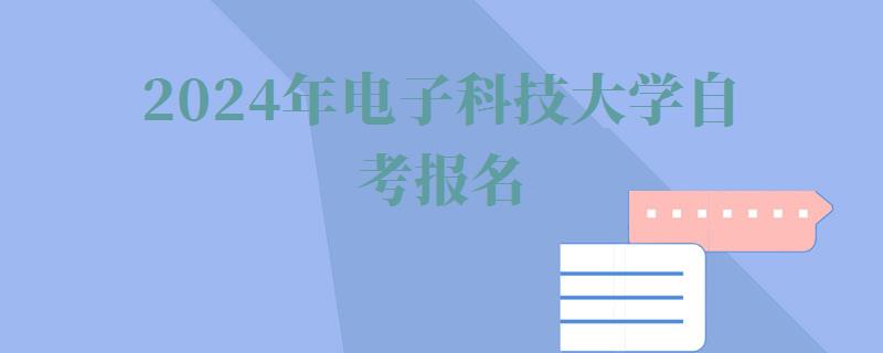 2024年电子科技大学自考报名