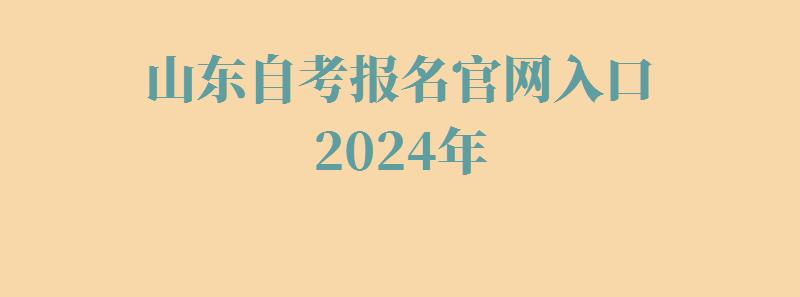 山东自考报名官网入口2024年