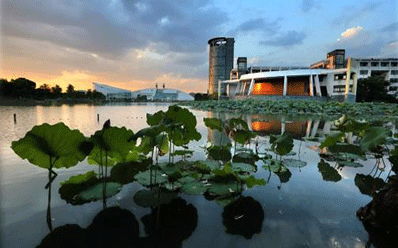 浙江大学